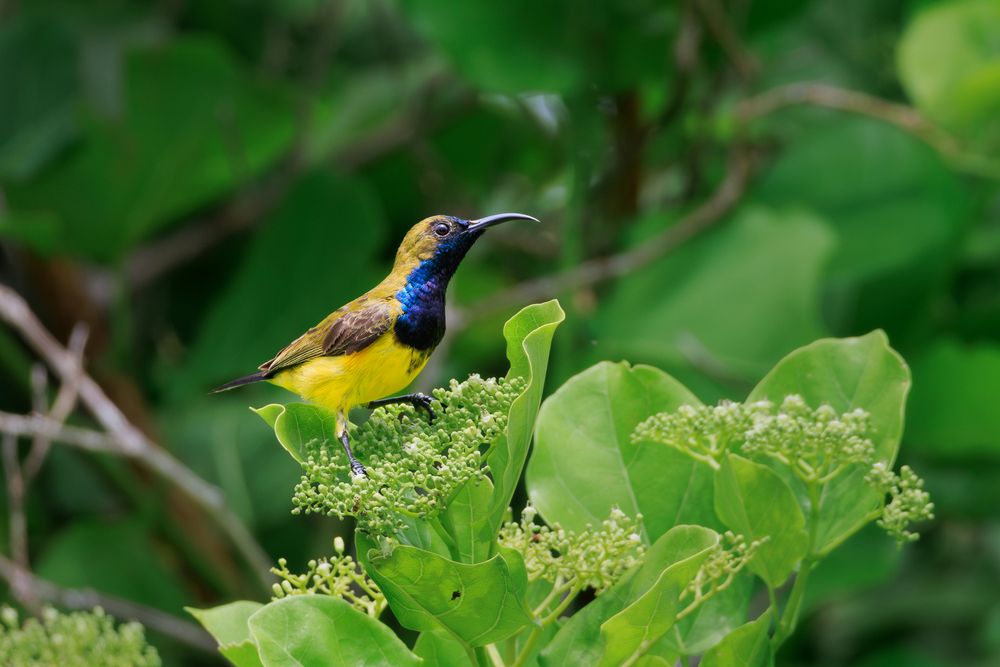 Photograph by Николай Попов