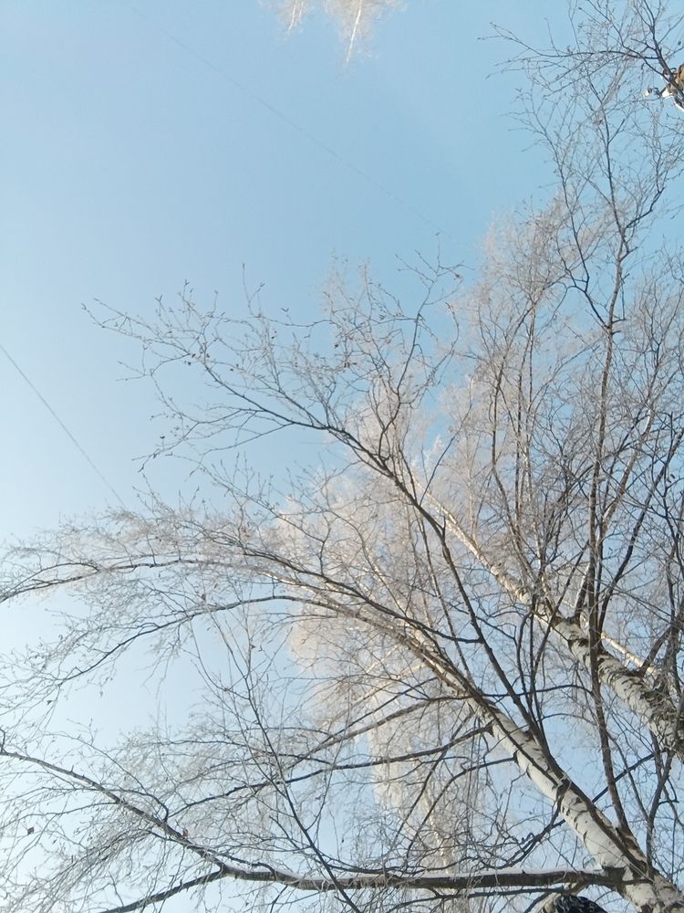 Photo #13141508