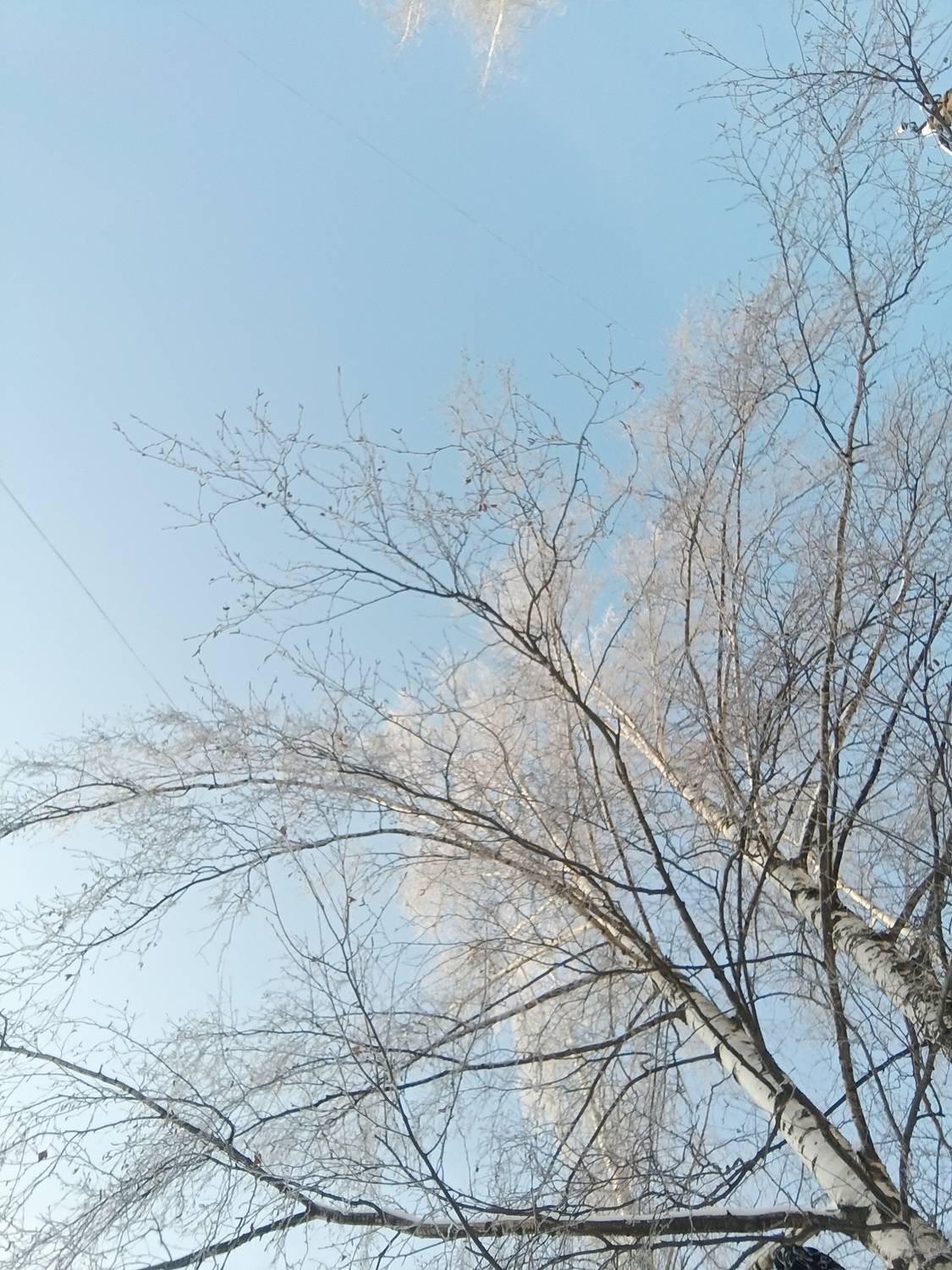 Photo #13141508