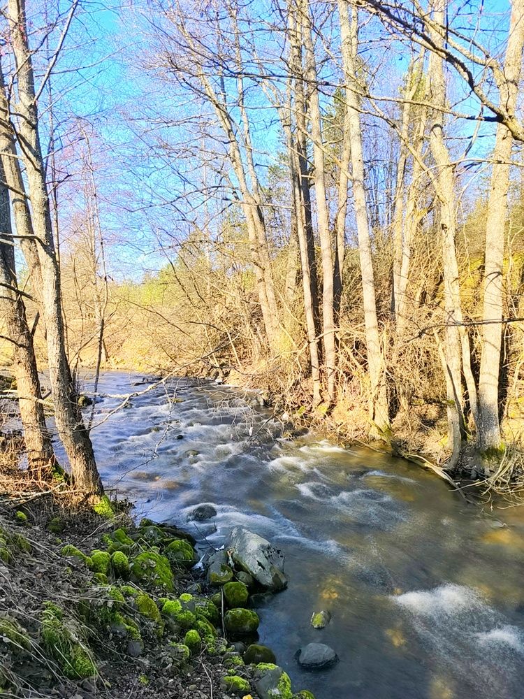 Фотография автора Лена Гром