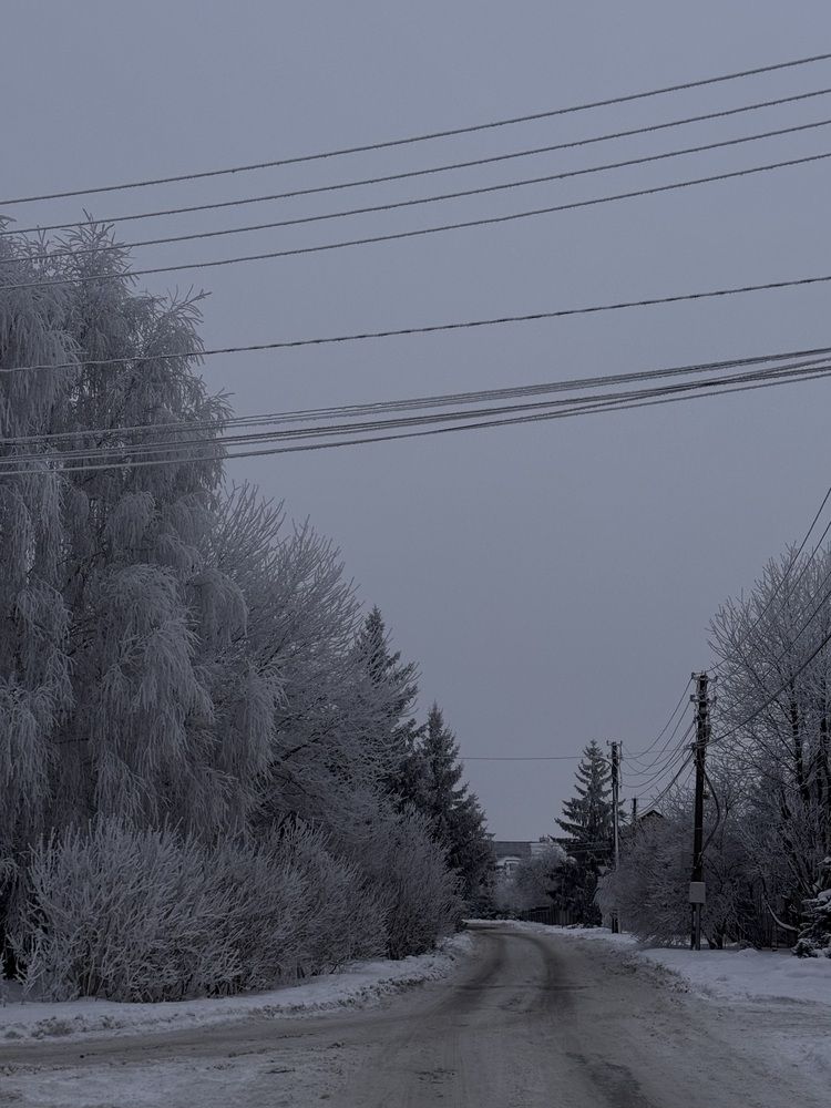 Фотография автора Жанна Колесникова