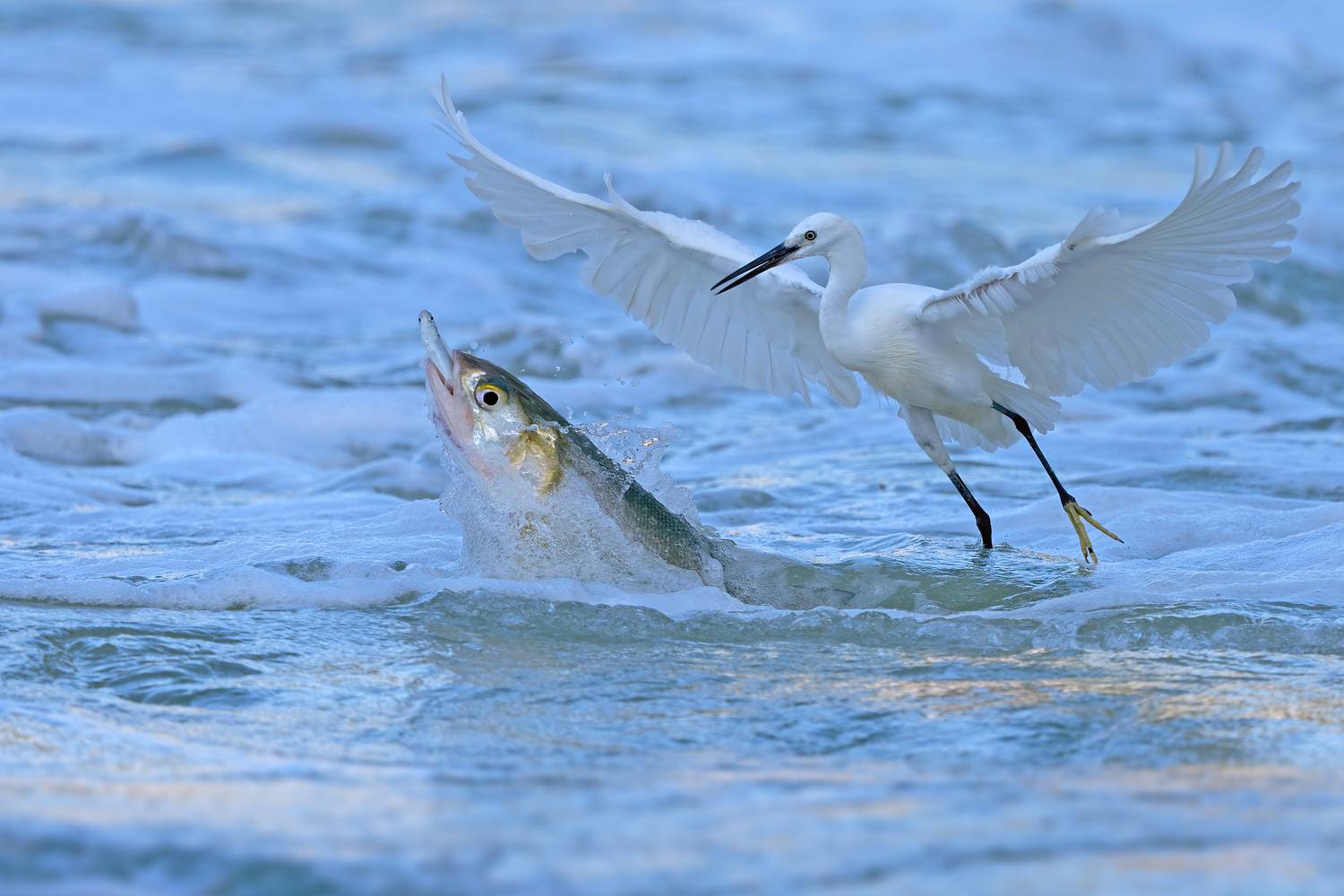 Survive In The Crack