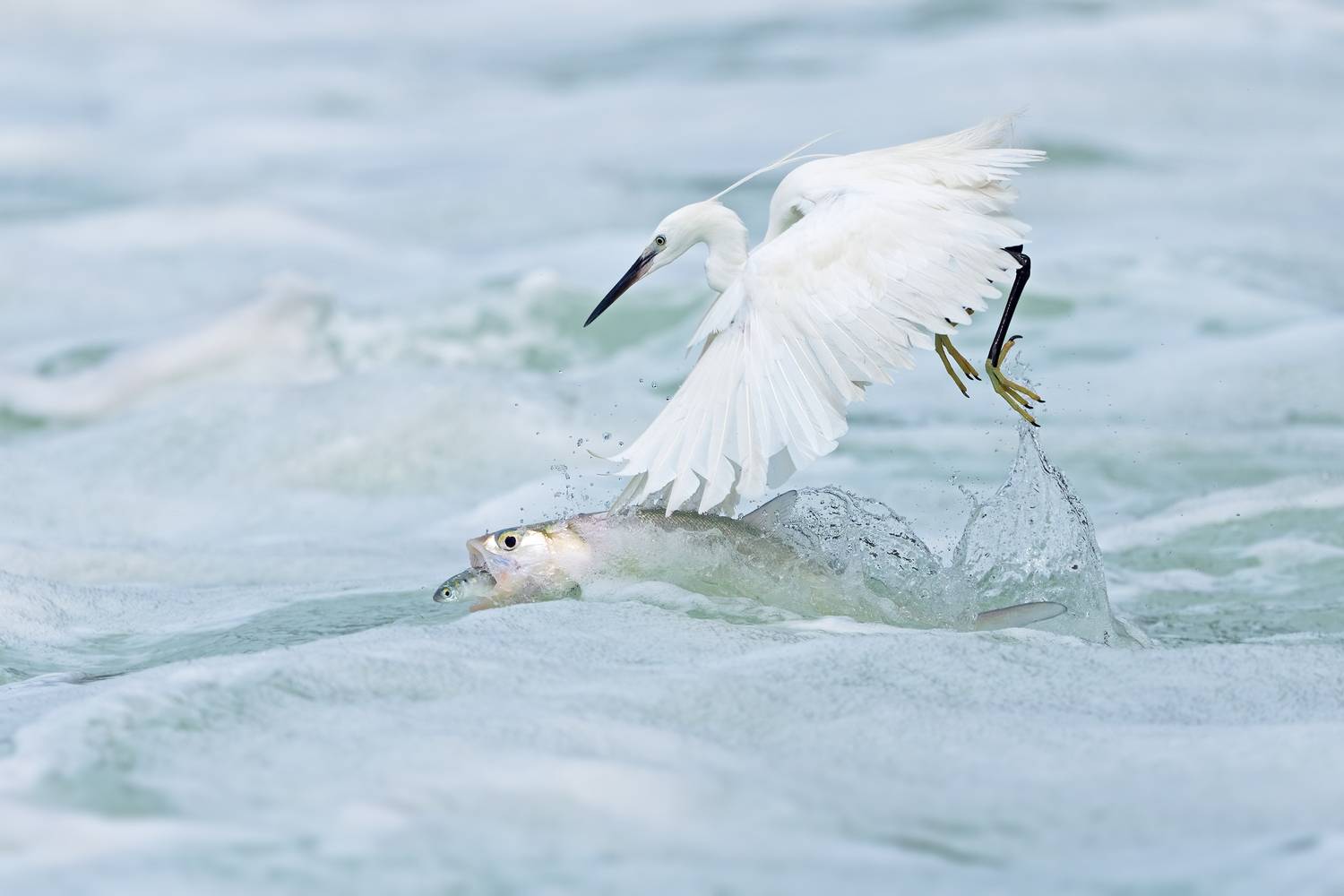 Life Hangs by a Thread