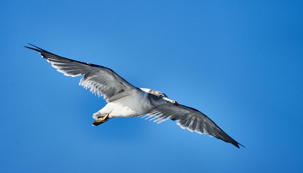 Photograph by Неман Лариса