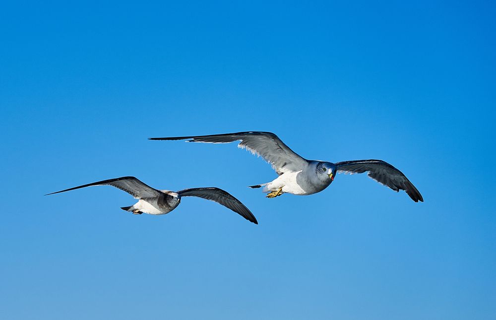 Photograph by Неман Лариса