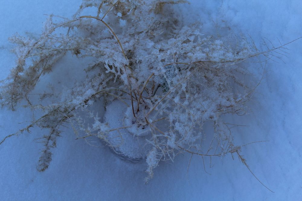 Photograph by Юлия