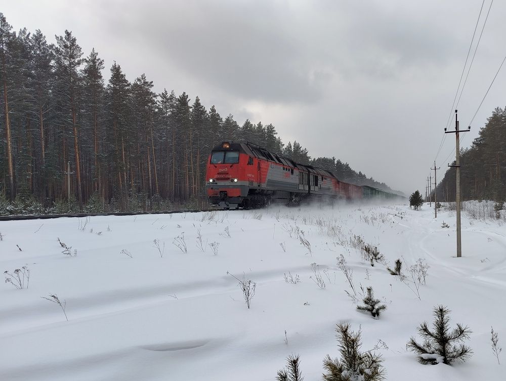 Photograph by Елена Алешкевич