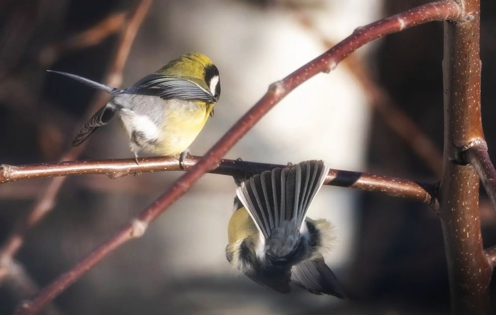 Photograph by Anna Rvanzeva