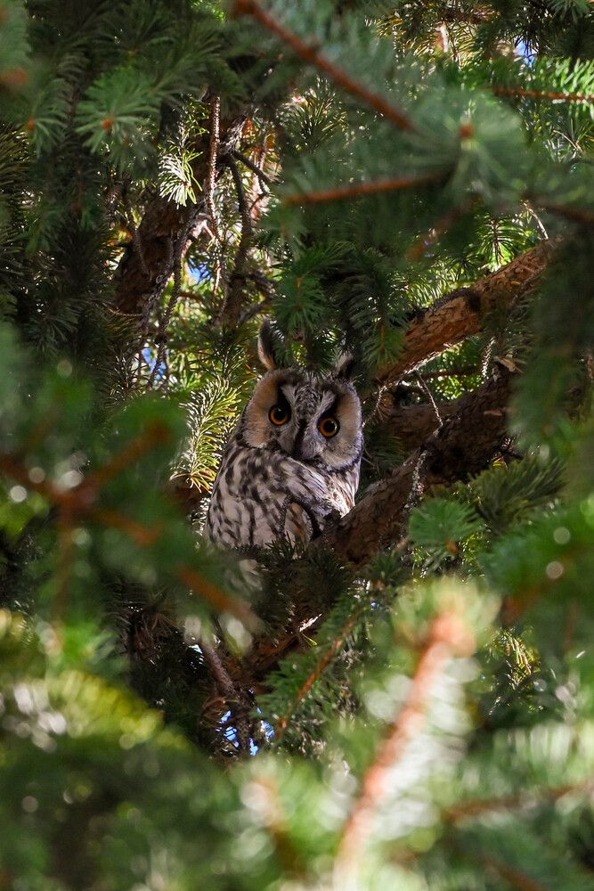 Photograph by Miglena Koeva