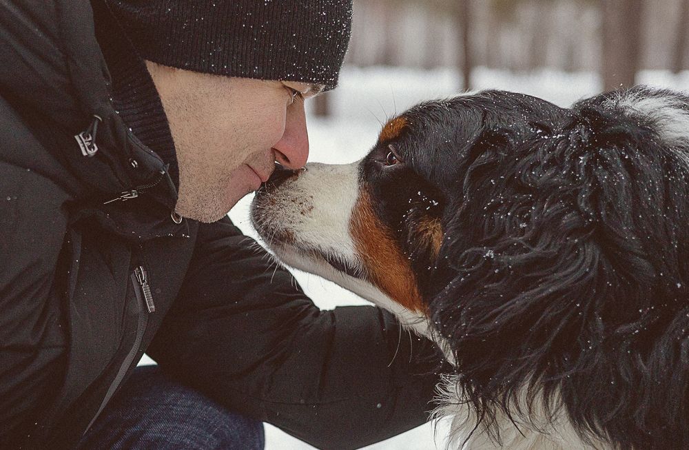 Фотография автора Кушпилева Марина