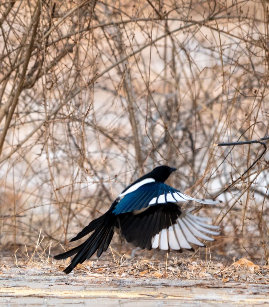 Photograph by lee pound