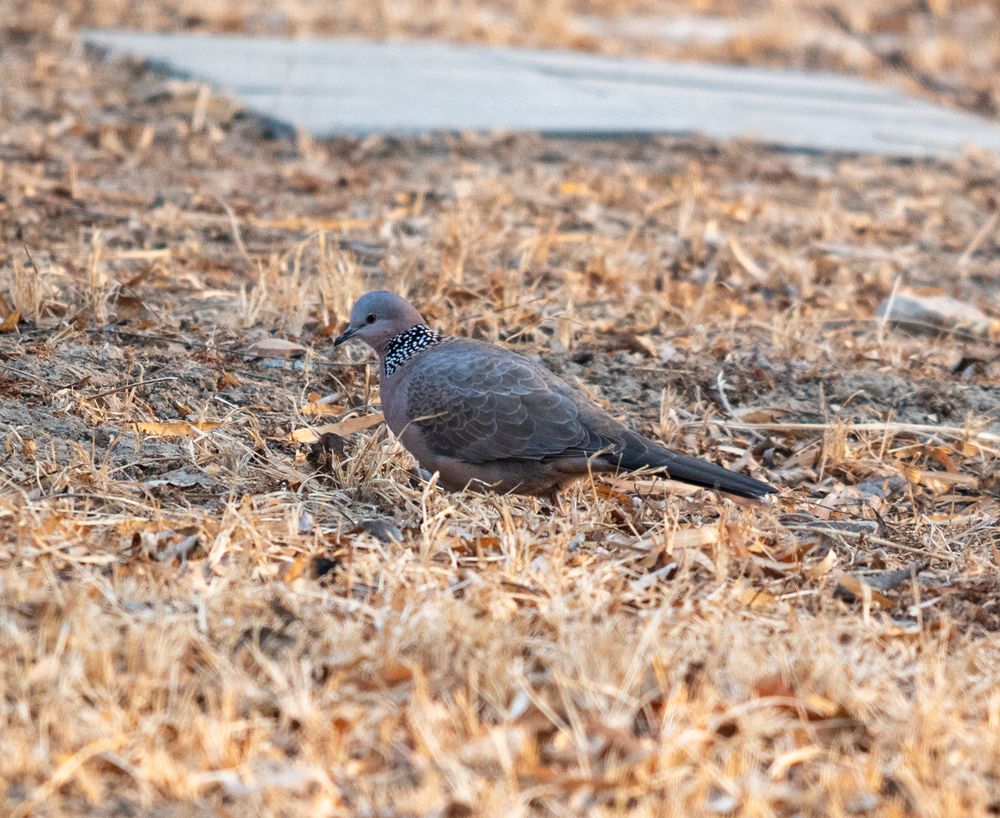 Photograph by lee pound