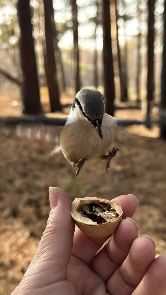 Photograph by Марина Мишутина