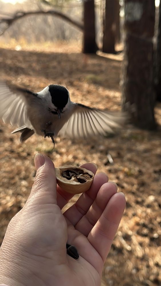 Photograph by Марина Мишутина