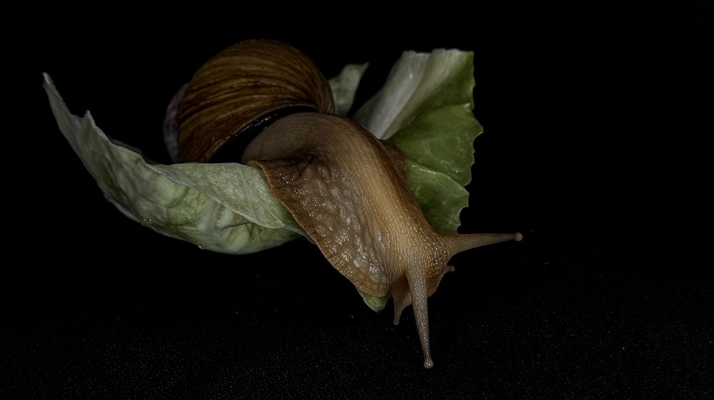 Движение! И не важно с какой скоростью