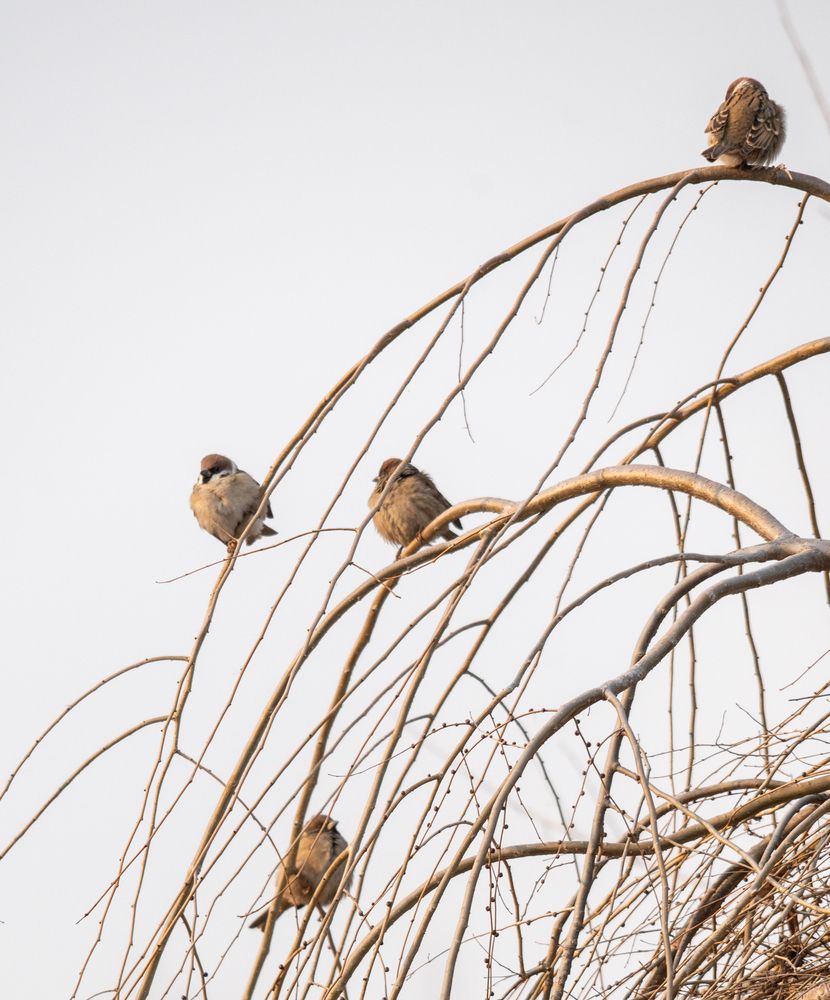 Photograph by lee pound