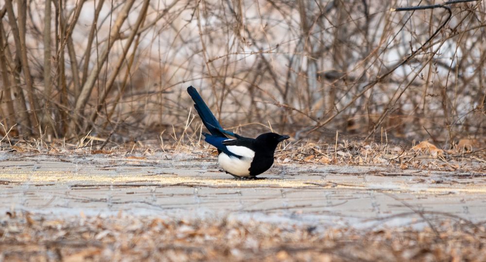 Photograph by lee pound