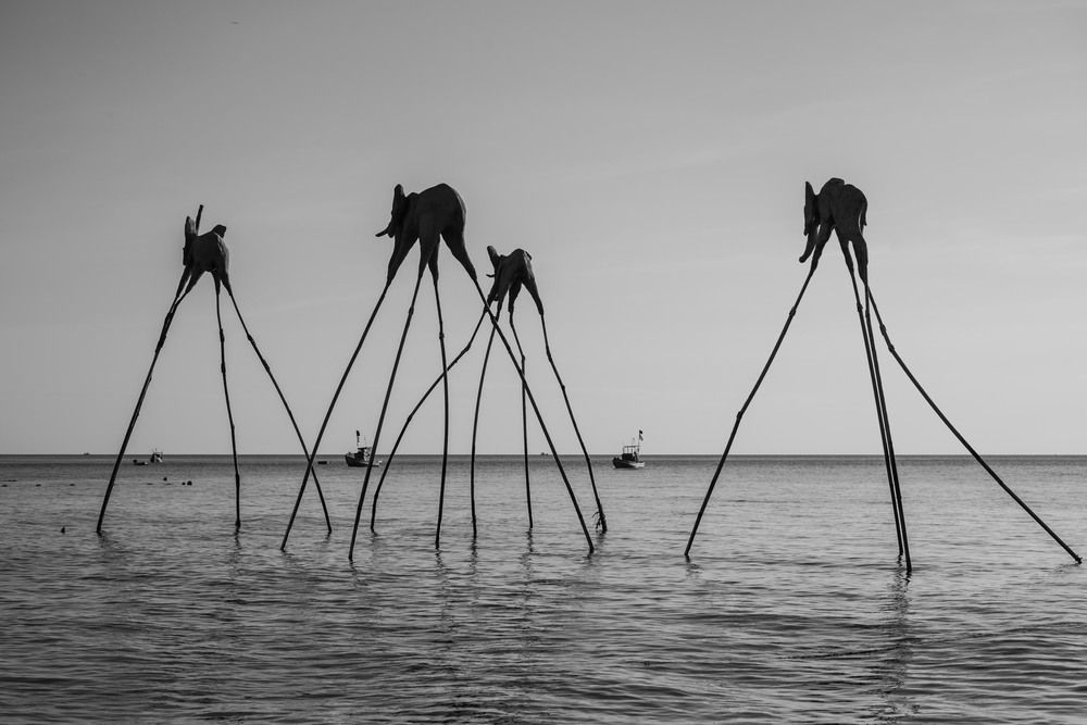 Photograph by Татьяна