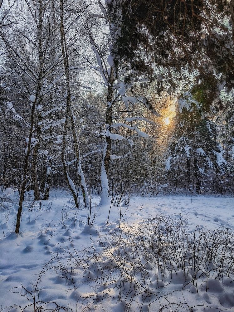 Фотография автора Олеся Хижко