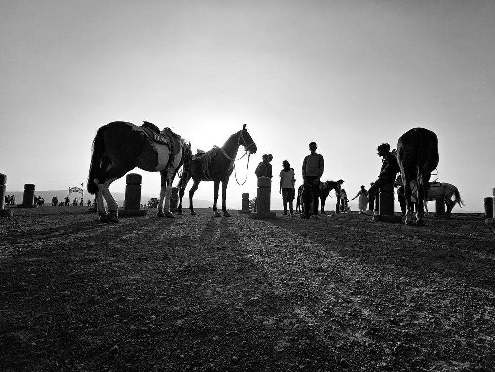 Photograph by Omkar Swamy