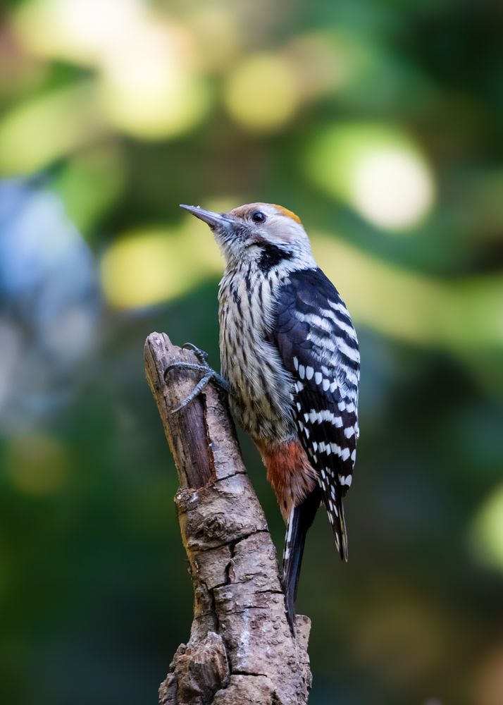 Photograph by Sathishkumar S