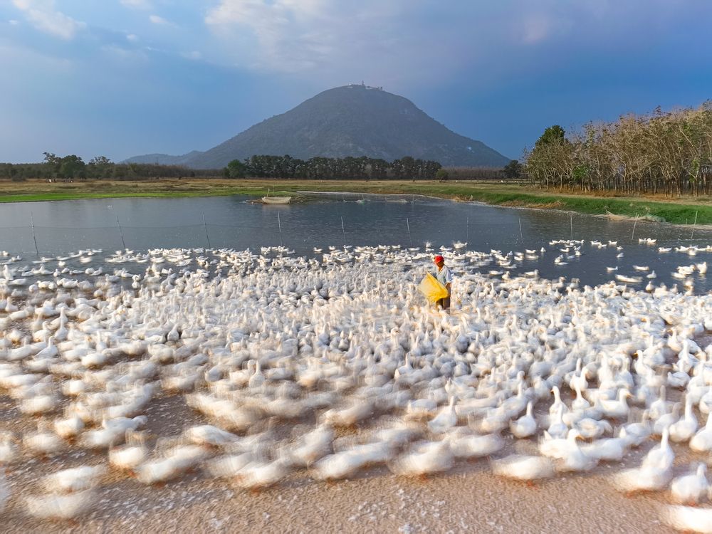 Photograph by Tran Phuong