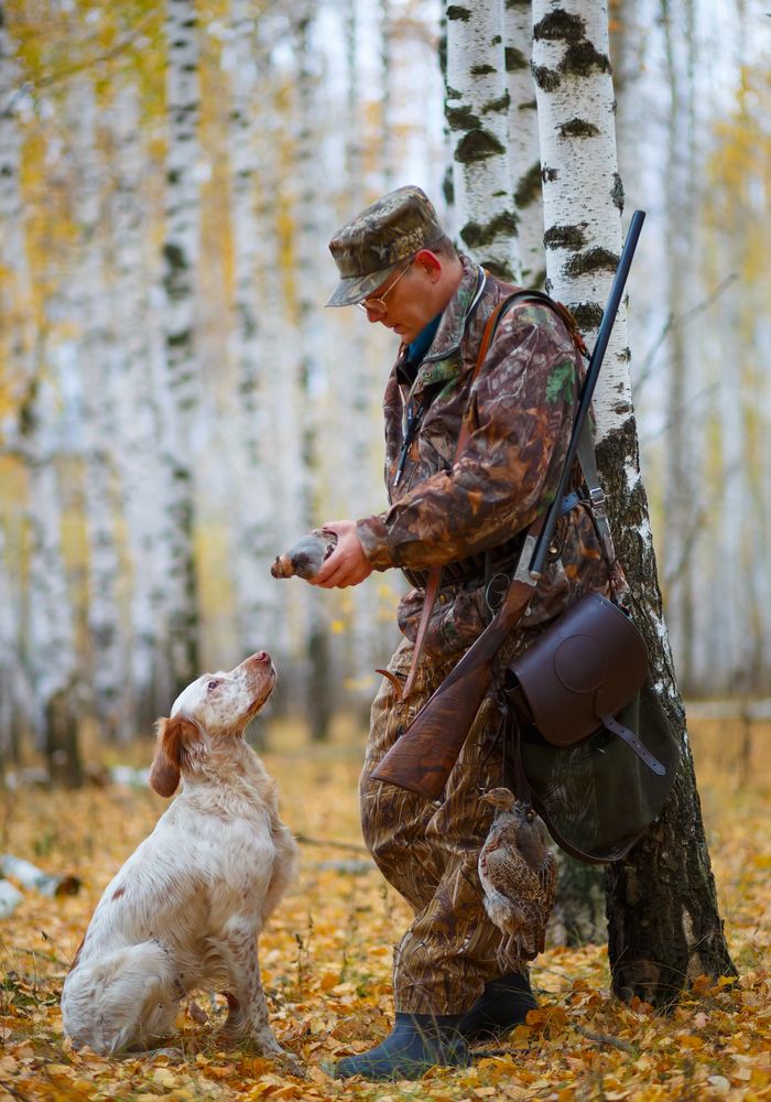 Photograph by Чибиркин Александр