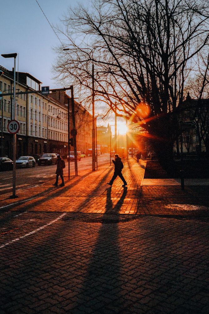 Фотография автора Nikolay Surovtsev
