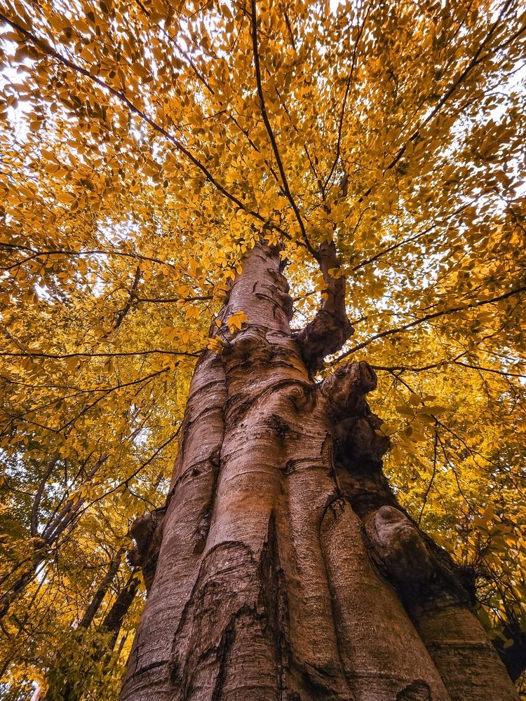 Photograph by Игорь Кабанов