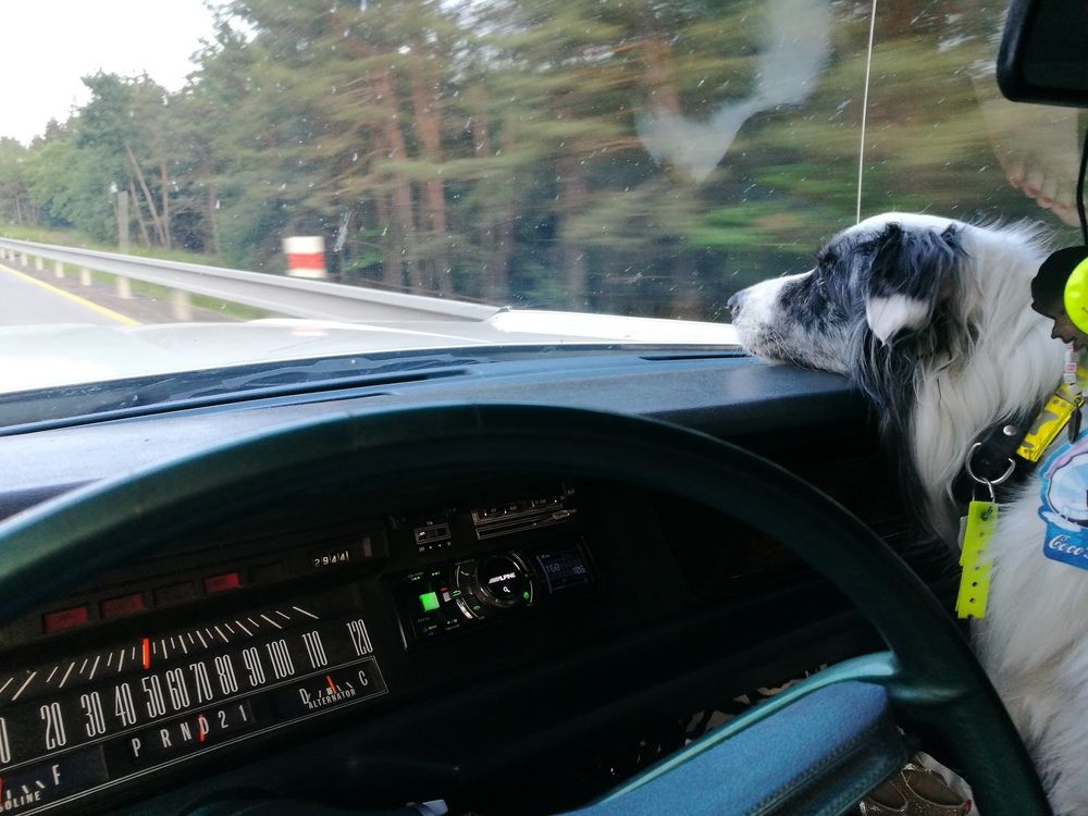 Фотография автора Chorche Prigo