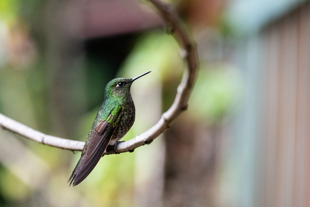 Photograph by Antonín Dudek