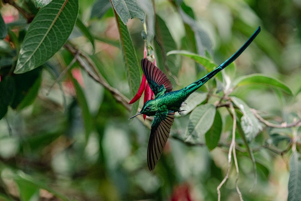 Photograph by Antonín Dudek