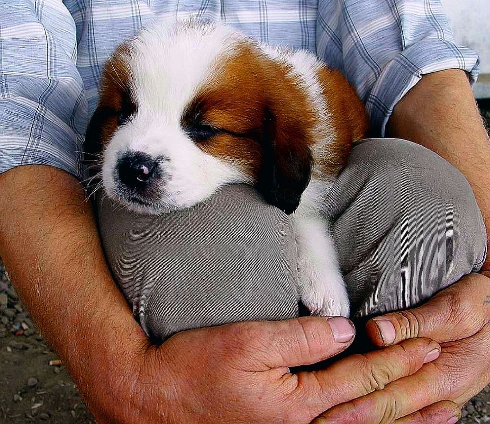 Photograph by Hvabek Kim