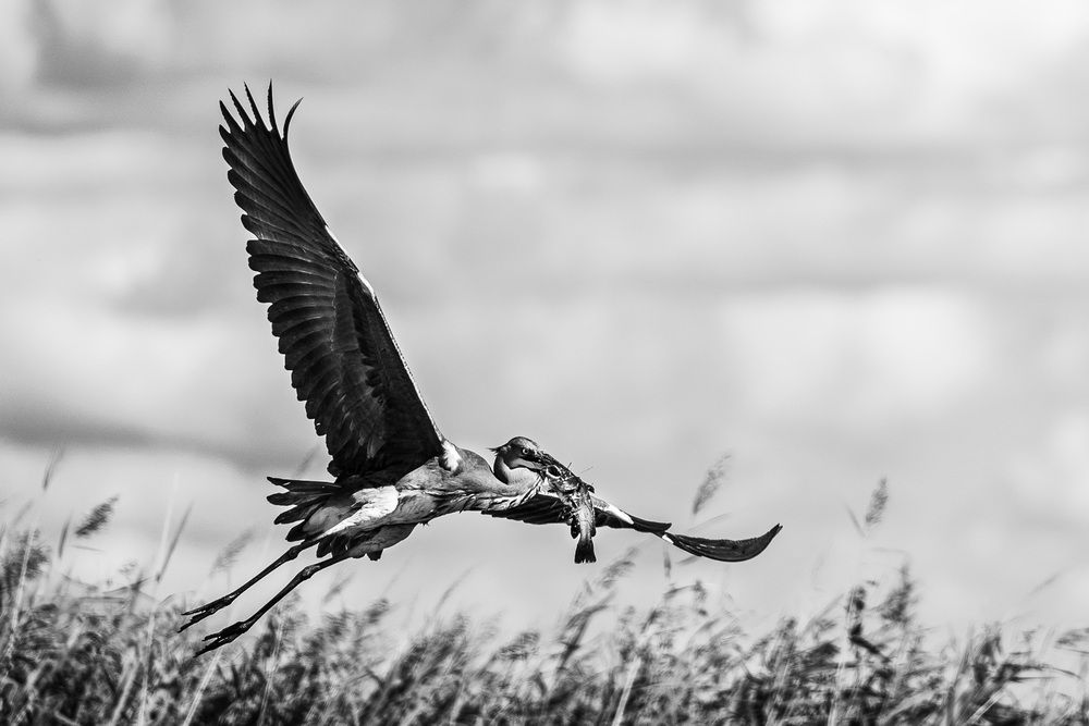 Photograph by Antonín Dudek