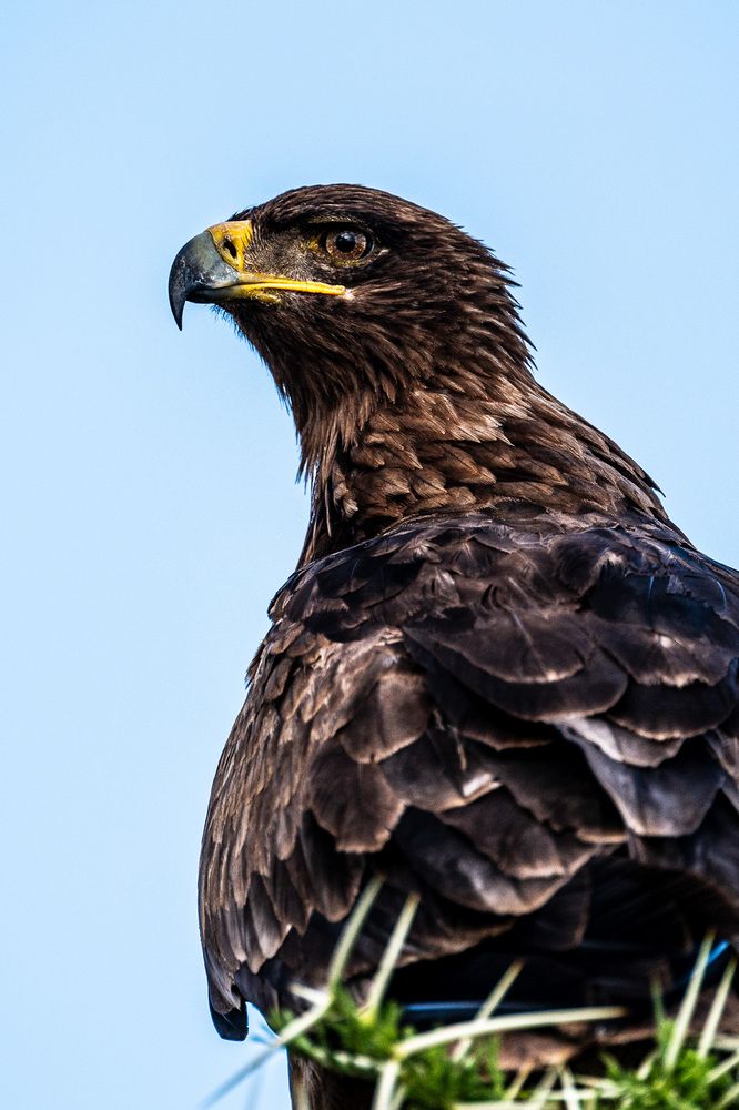 Photograph by Antonín Dudek