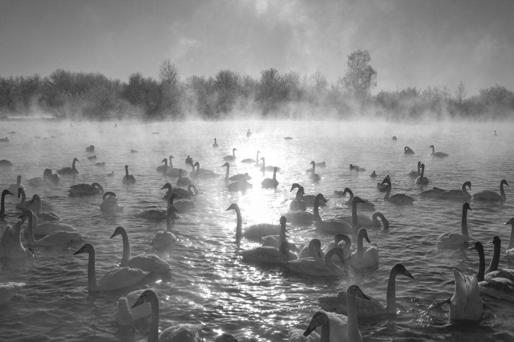 Photograph by Николай Владимирович