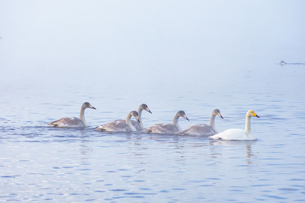 Photograph by Николай Владимирович