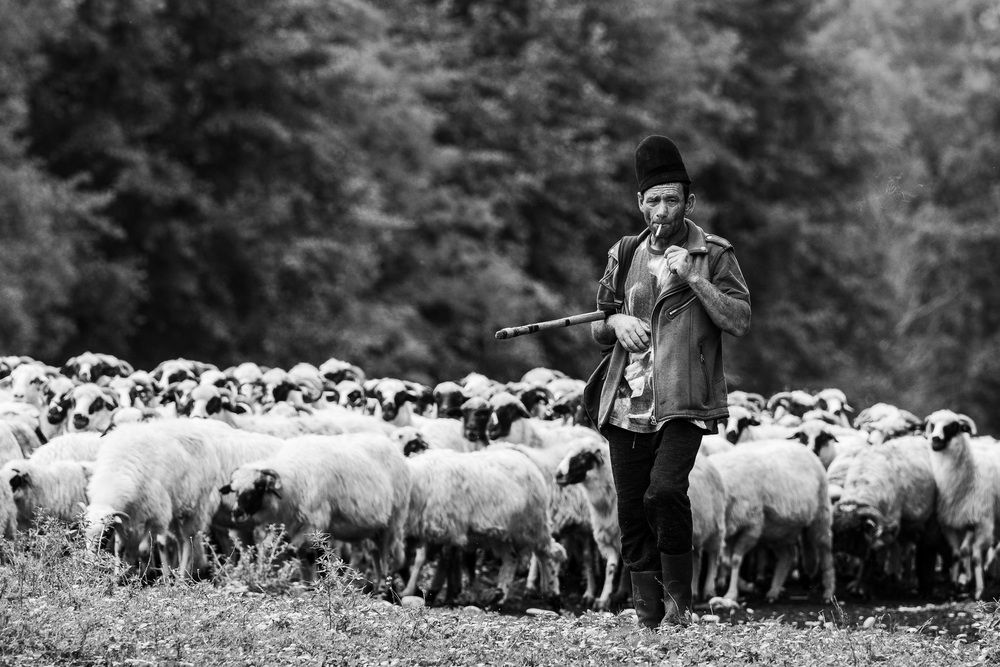 Photograph by Antonín Dudek