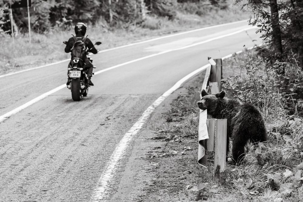 Photograph by Antonín Dudek