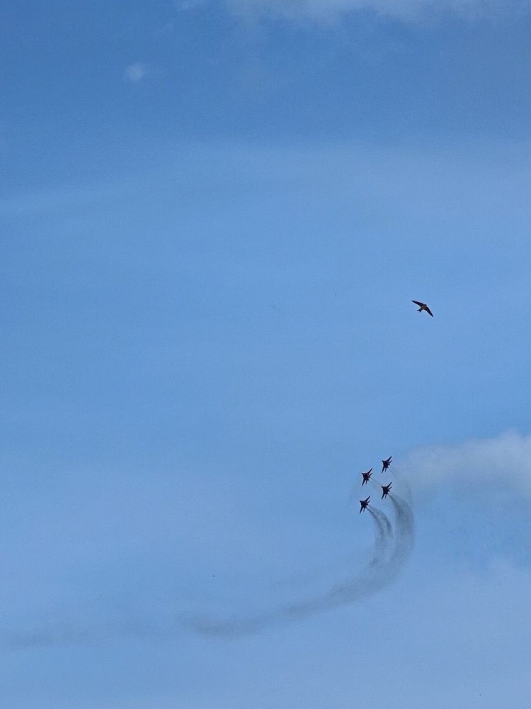 Photograph by Вячеслав Щёголев