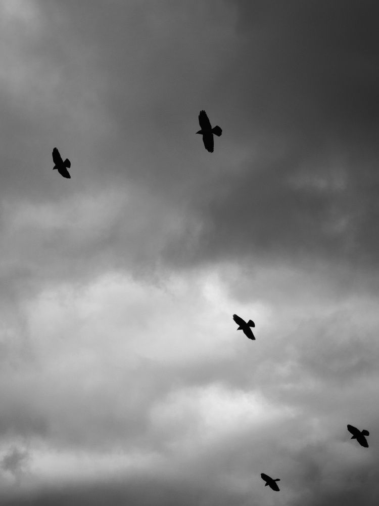 Photograph by Вячеслав Щёголев