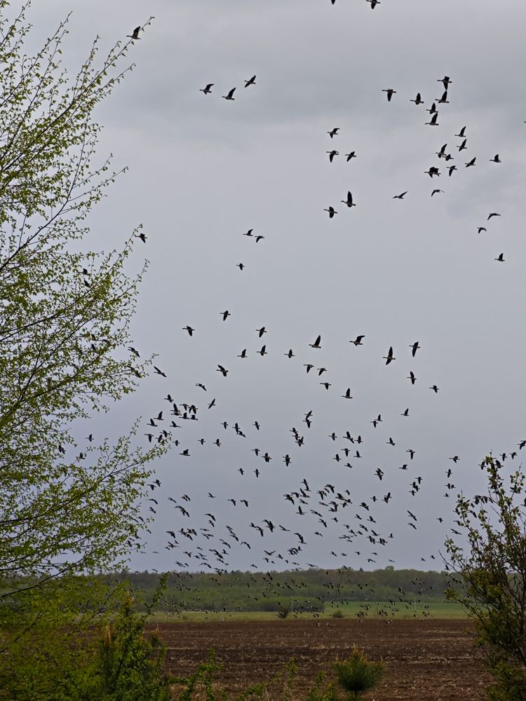 Photograph by Вячеслав Щёголев