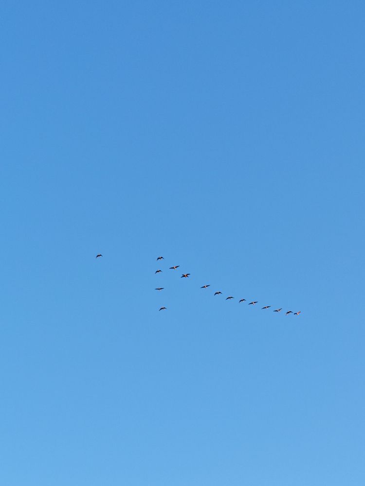 Photograph by Вячеслав Щёголев