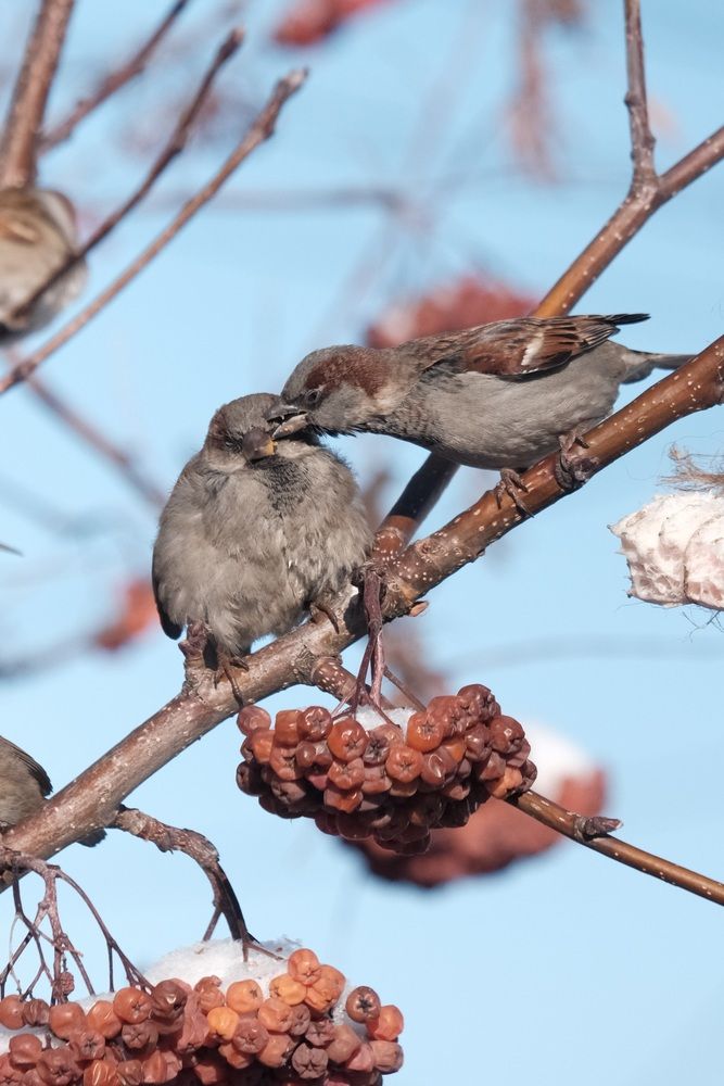 Photograph by Яна Истоцкая