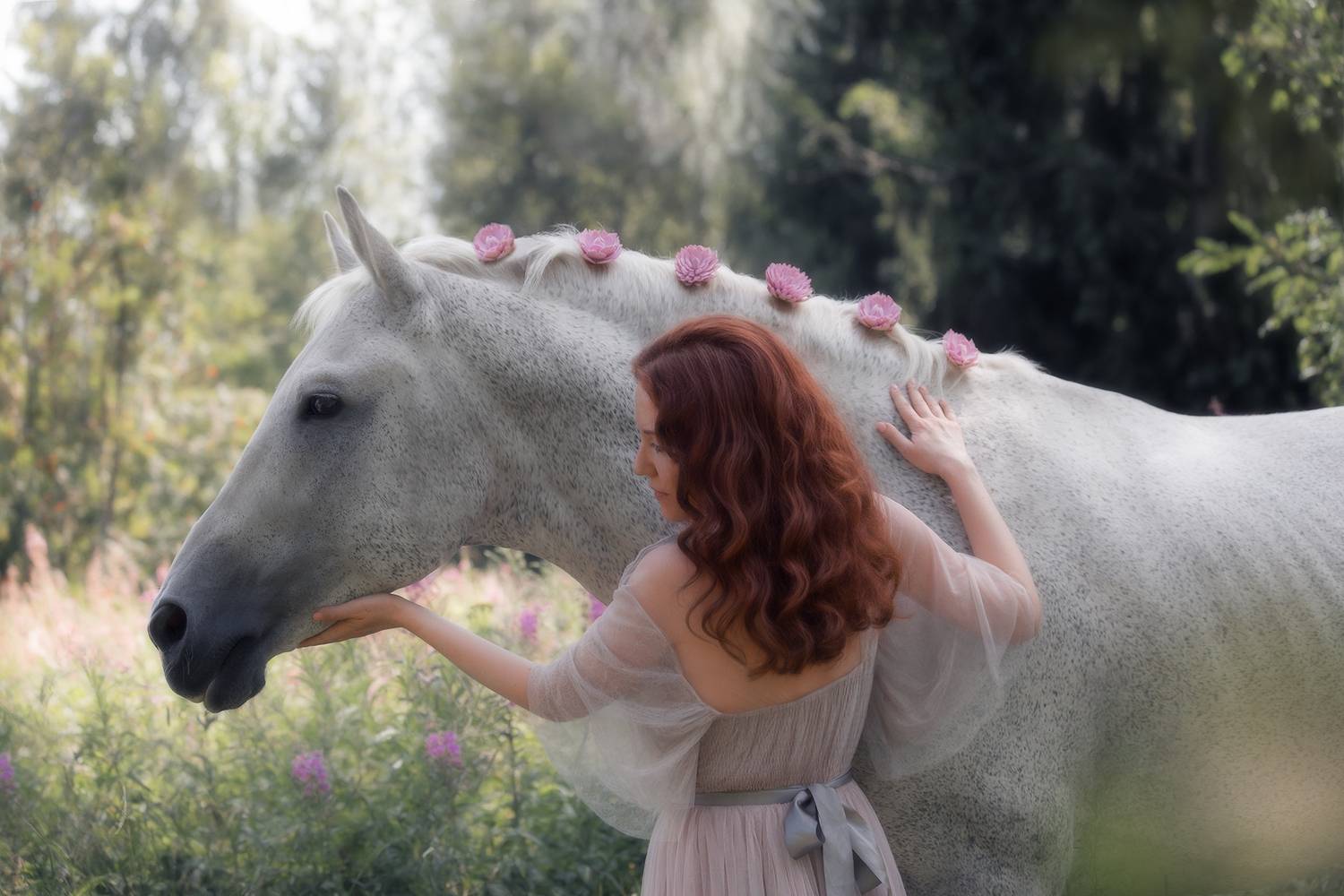 Фотография #13142412