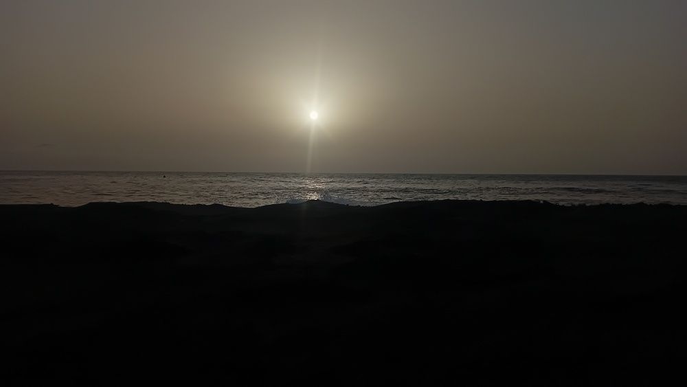 Silhueta nature