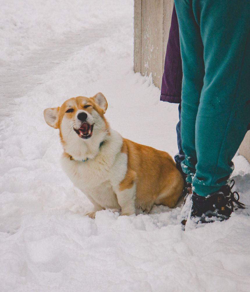 Photograph by Христина Сергейчик