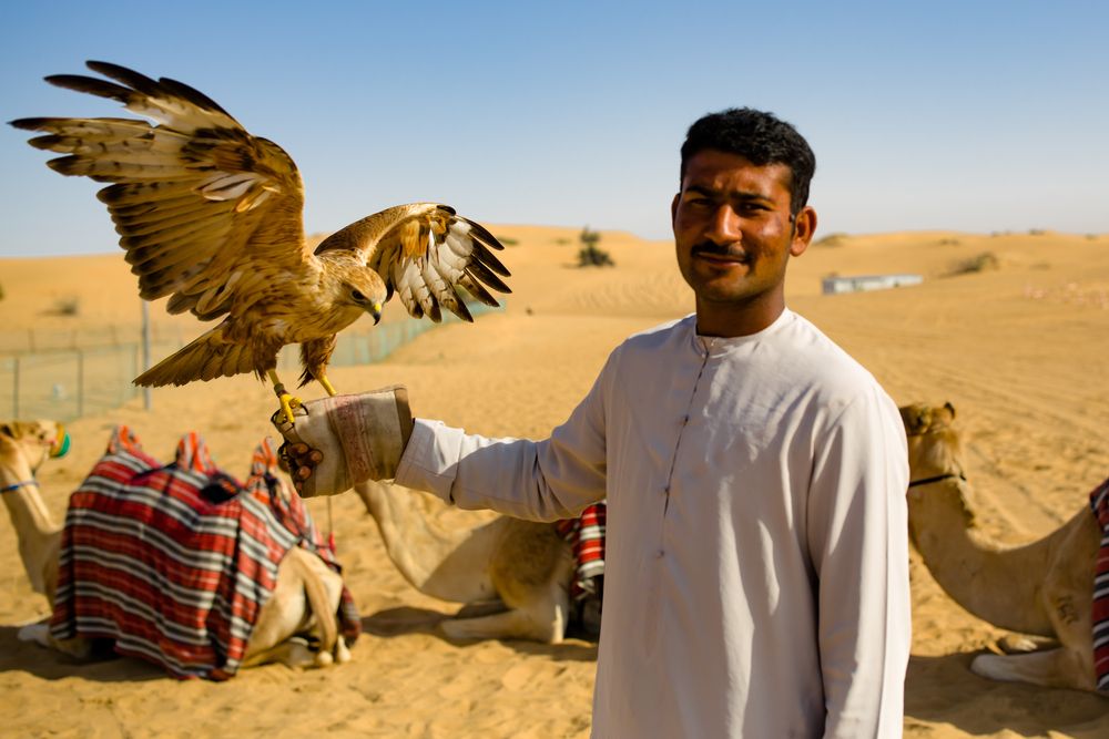 Photograph by Владимир Говоров