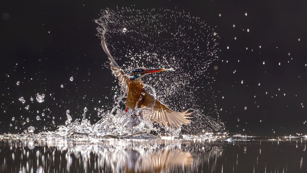 Photograph by Sanjay Risbood