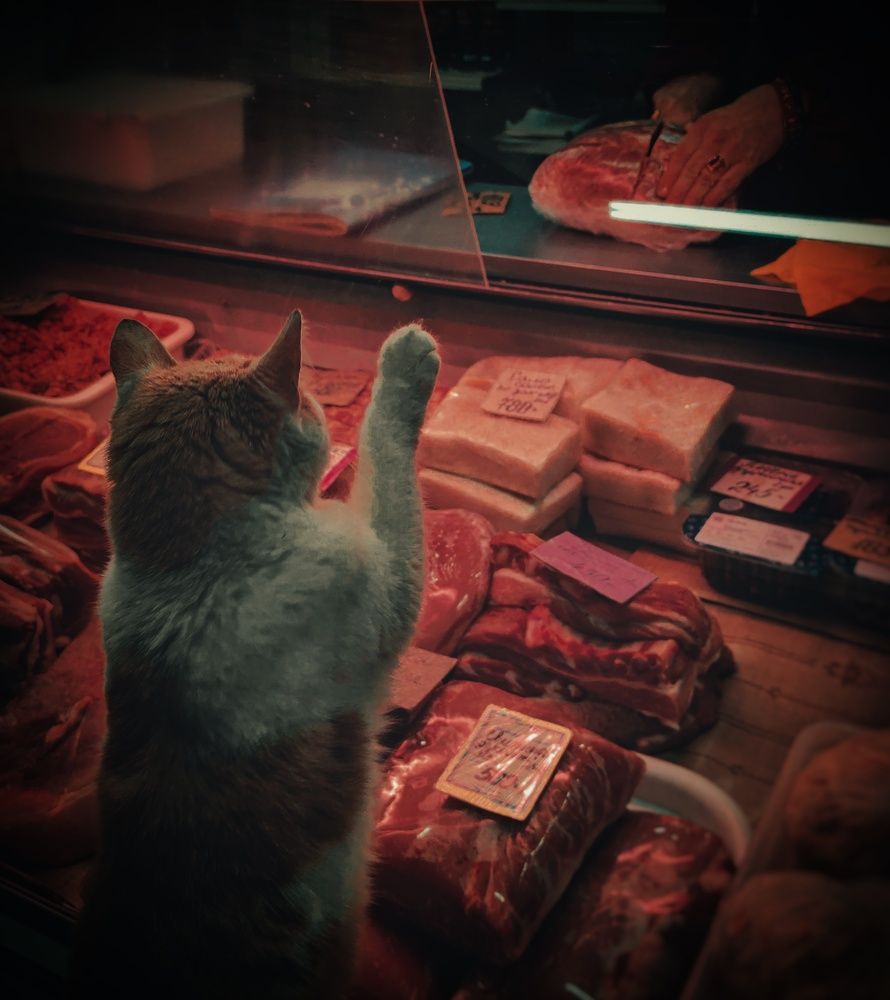 Photograph by Дайана